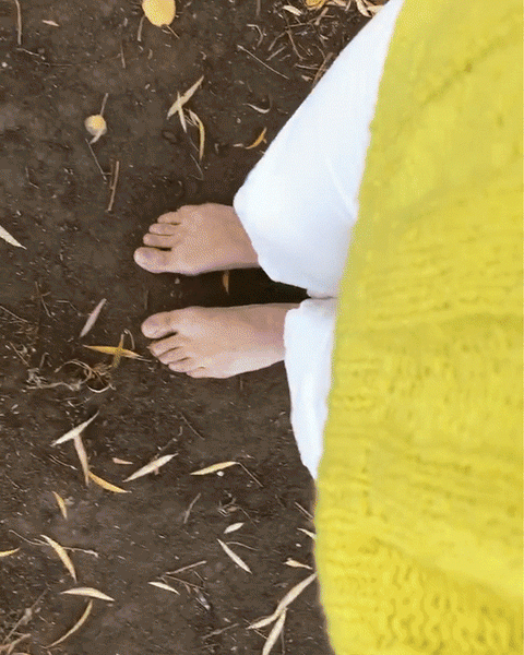 RA AT HOME: THOUGHTS IN A TIME OF CHANGE