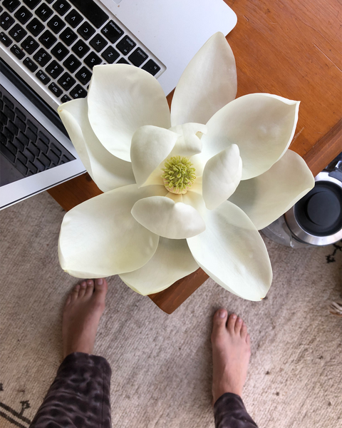 READING THE TEA LEAVES