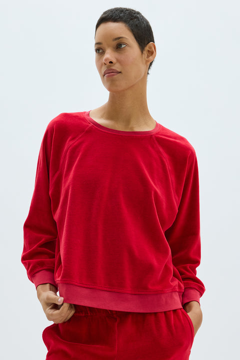 Velour Scarlet Muse Sweatshirt